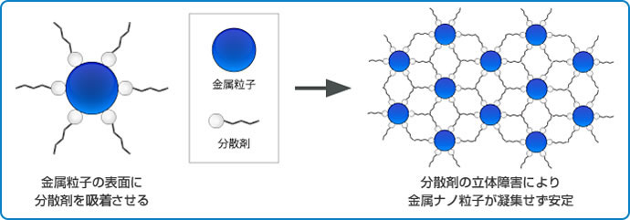 ナノ粒子模式図